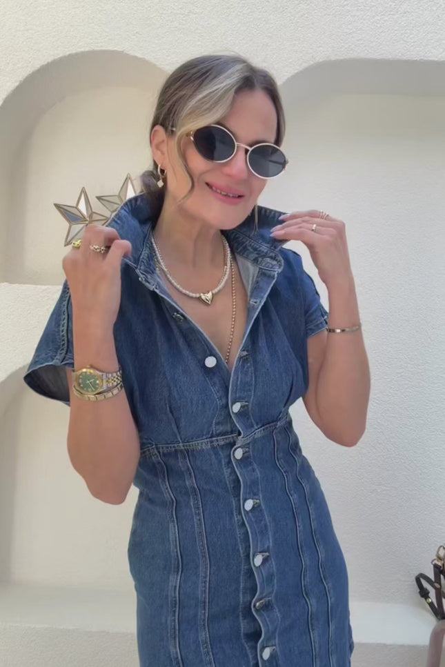 Anna Buttoned Denim Dress