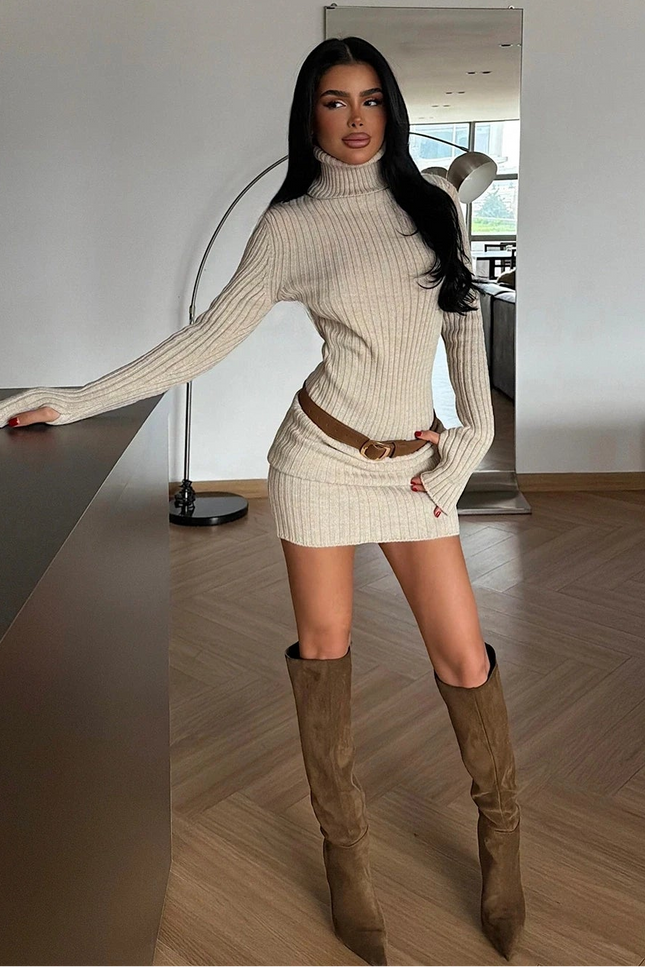 Elegant Stone Zurich Knit Mini Dress with Turtleneck Long Sleeves